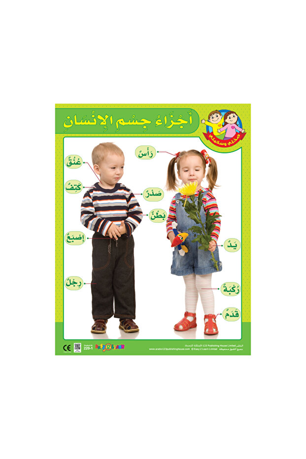 The 5 Senses - Wall Chart in Arabic