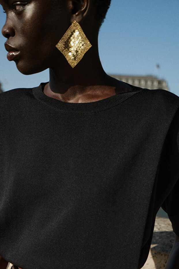 Brand model earrings
