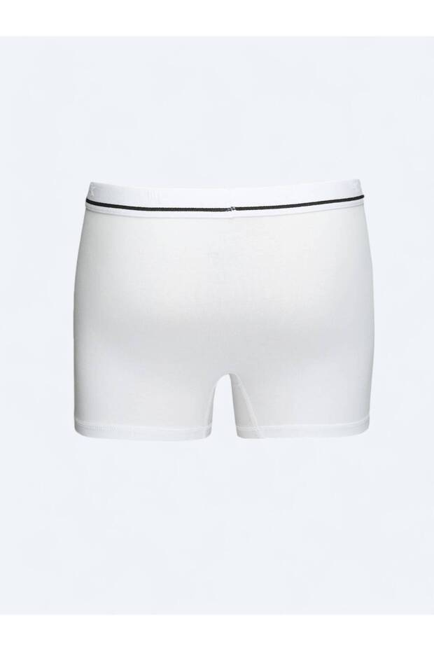 الملاكم الأبيض - 3