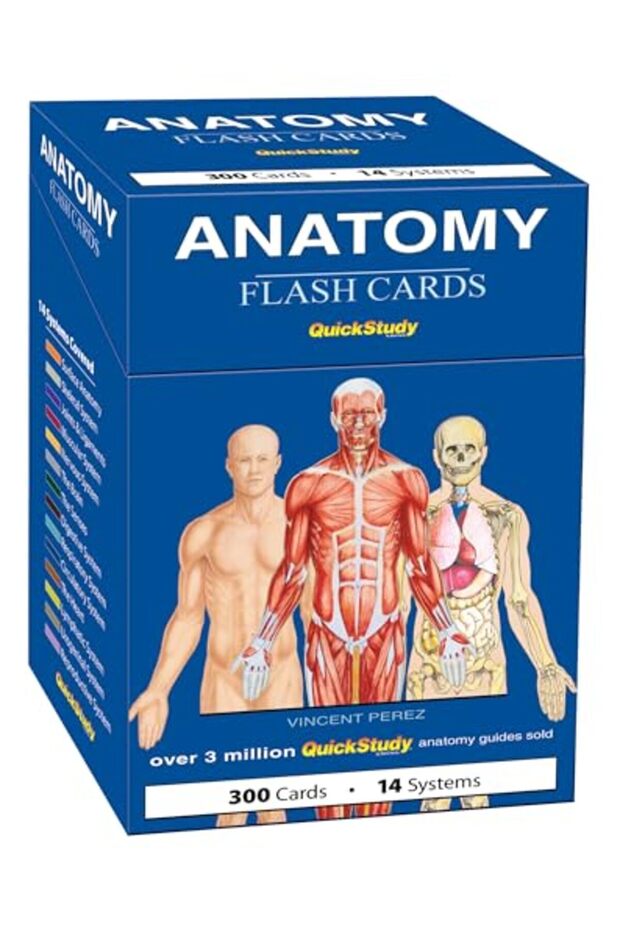 Anatomy Flash Cards: A Quickstudy Reference & Study Tool