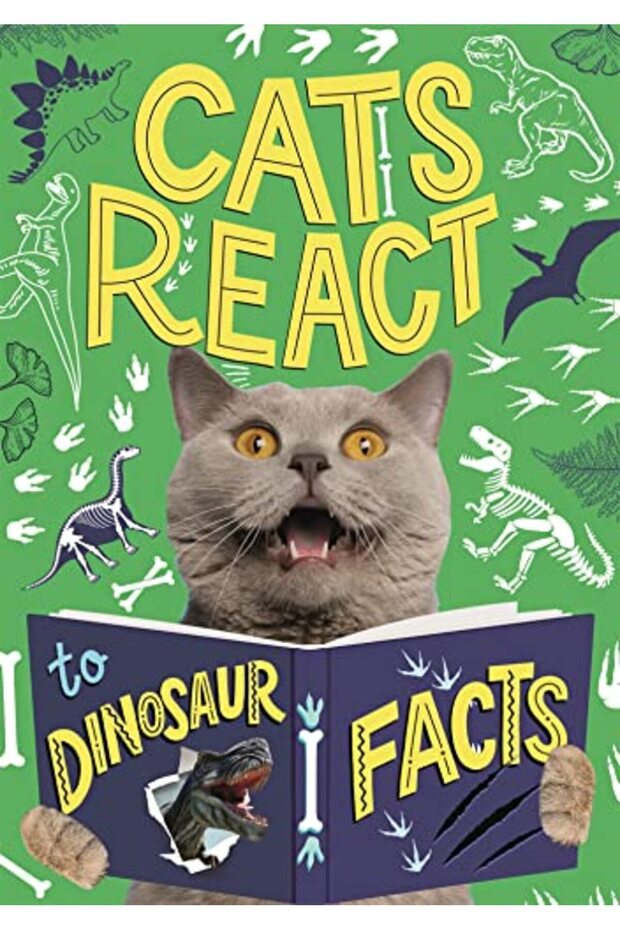 Cats React to Dinosaur Facts
