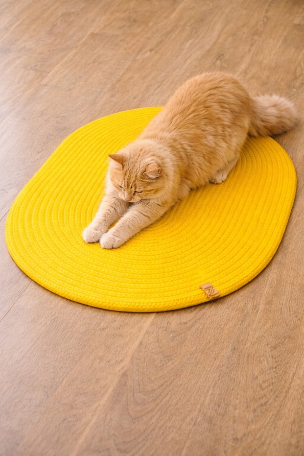 Yellow Color Cat Scratching Mat and Bed / Multi-Purpose Use