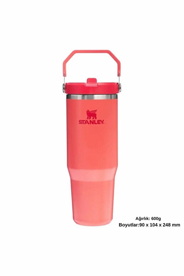The IceFlow Flip Straw Pipetli Termos Bardak 0.89 LT Matara MERCAN - 3