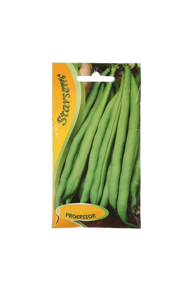 Seminte legume, fasole verde Processor, Starsem