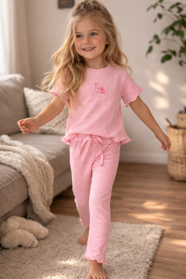 Girl's Pink Short Sleeve Set of Corded Fabric with Swan Embroidery, Set of 2