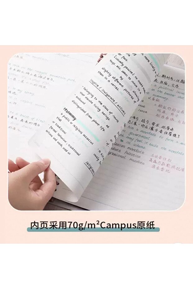 Y02-Campus x Disney binder Notebook A5 - 4