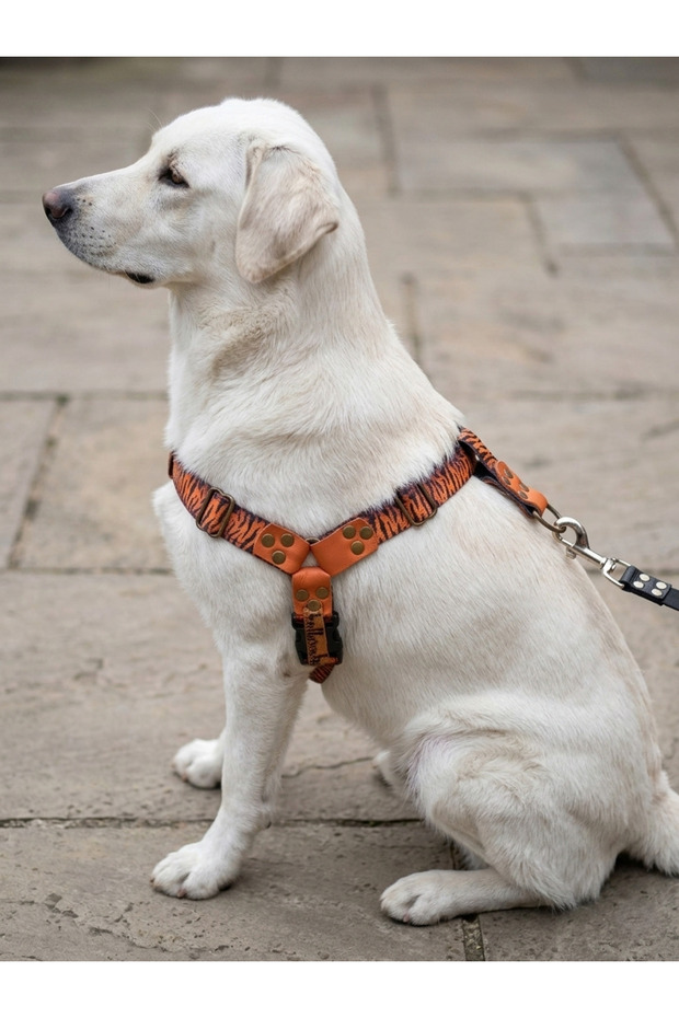 Dog Chest Harness for Large Breeds, Adjustable Front and Back Pulling Cord, Tiger Pattern