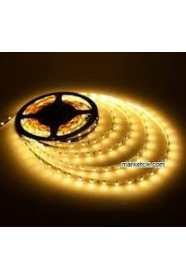 Daylight Silicone Led