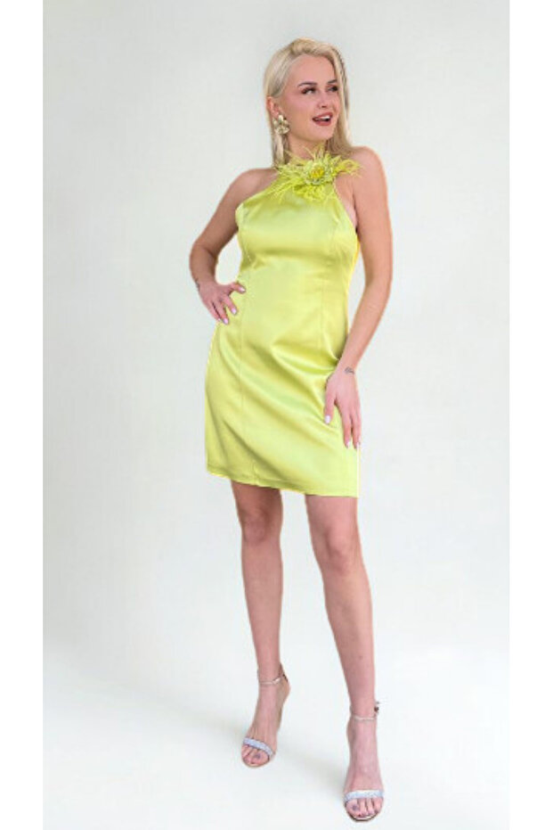 ROCHIE DE SEARA - 1