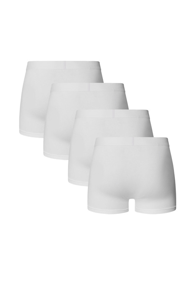 Boxer Basic - 2