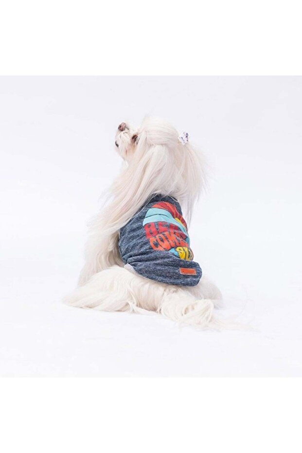Navy Blue the Sun T-Shirt Small Breed