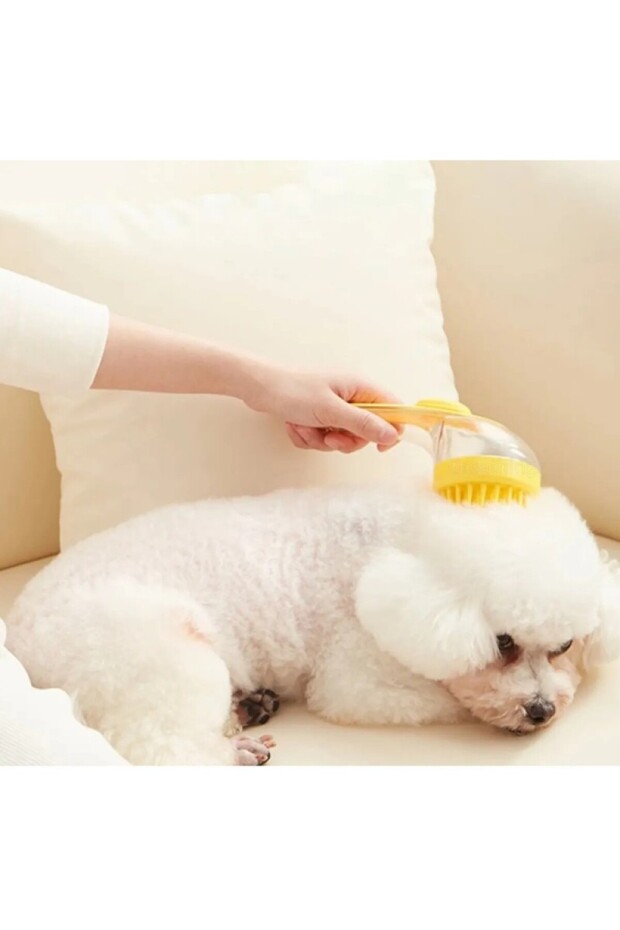 Pet Comb with Liquid Chamber - 2