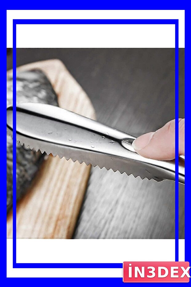 أداة عملية لإزالة قشور السمك، نظافة وتنظيف سريع - 3