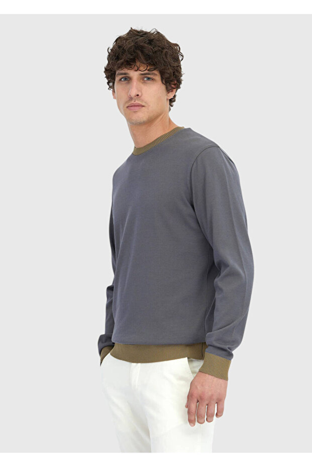 Gray Crew Neck Plain Sweatshirt - 4