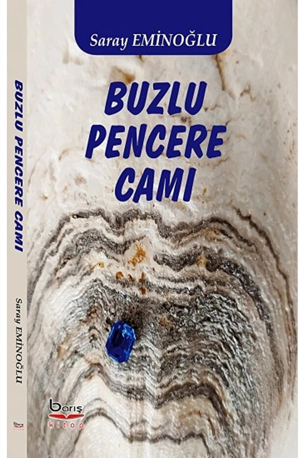 Buzlu Pencere Camı