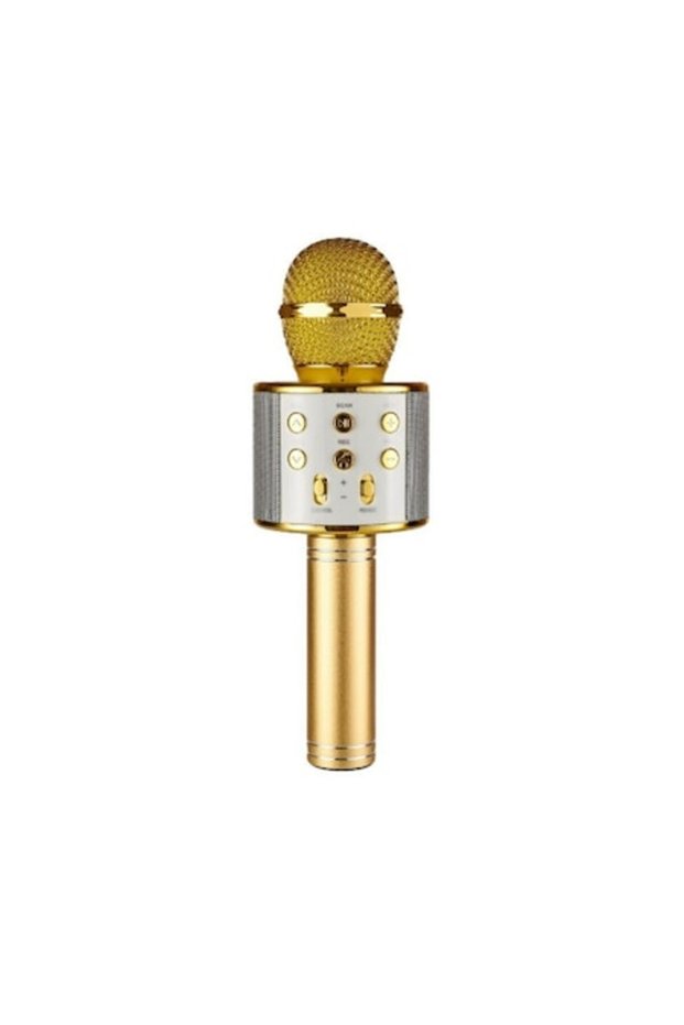 Microfon karaoke SD-858