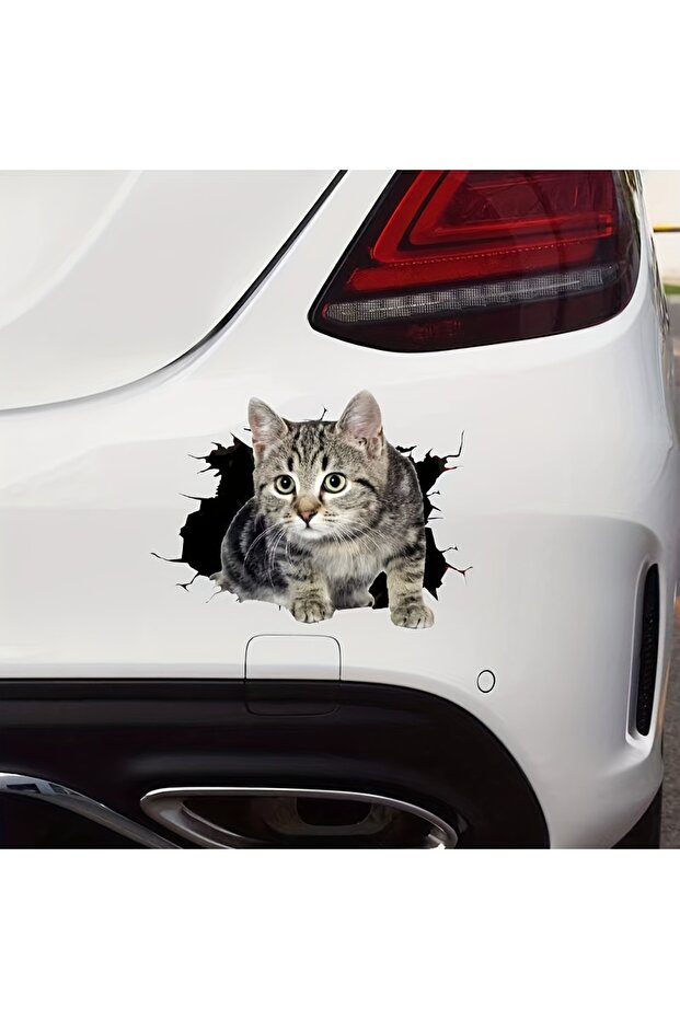 Ultra Small [Popular Choice] 3D Cars, SUVs, Motorcycles and Laptop Cat Stickers - Scratch Resistant