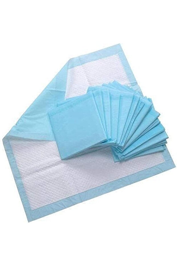 Wet Absorption Disposable Underpads – 60 cm X 90 cm for Home Care & Pet/Puppy Training Pad - 10 PCS / PKT