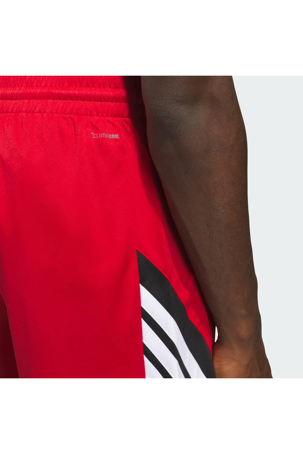 Pro Motion Erkek Şort - 6