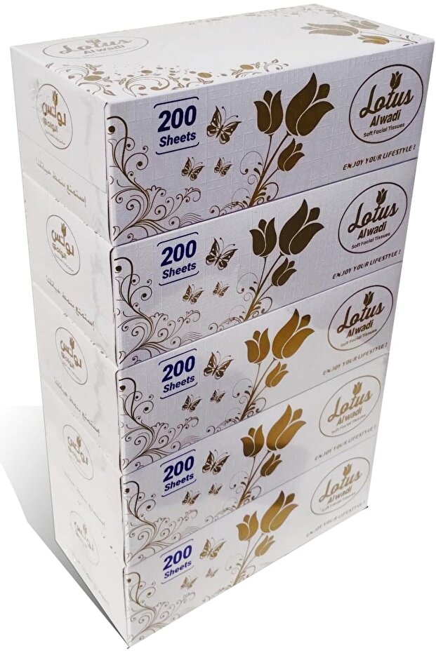 200 Sheet Soft Facial Tissues 2 Ply Bundle, Pack of 5 (1000 Facial Tissues Total) Family Pack