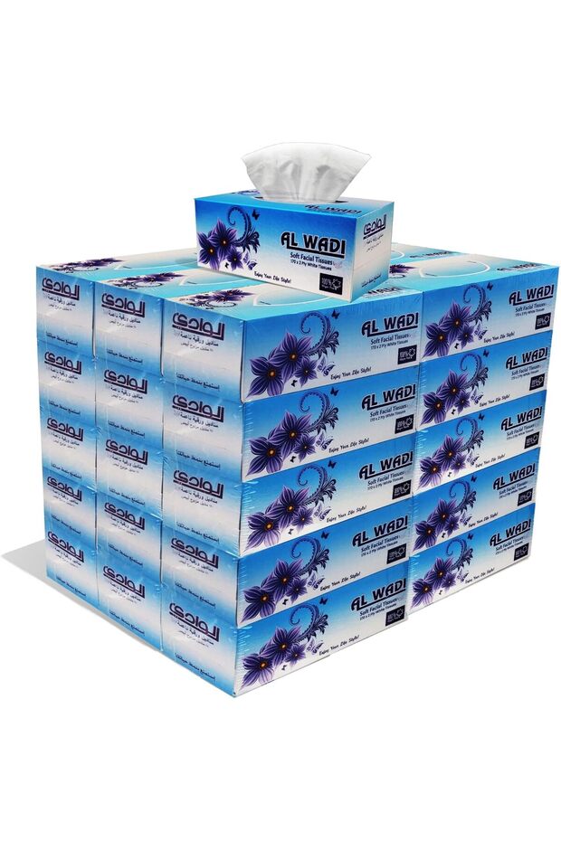 30 Boxes/Packs Soft Facial Tissue, 170 Sheets 2 Ply, 5100 Tissues Total