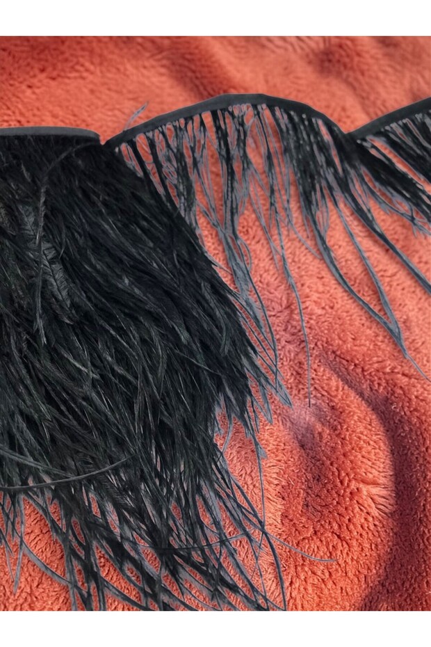 1 Meter of Ostrich Feather Black (Width: 12 cm)