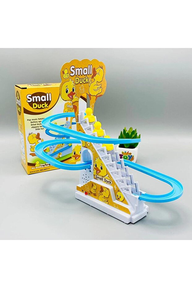 Small Duck - 1