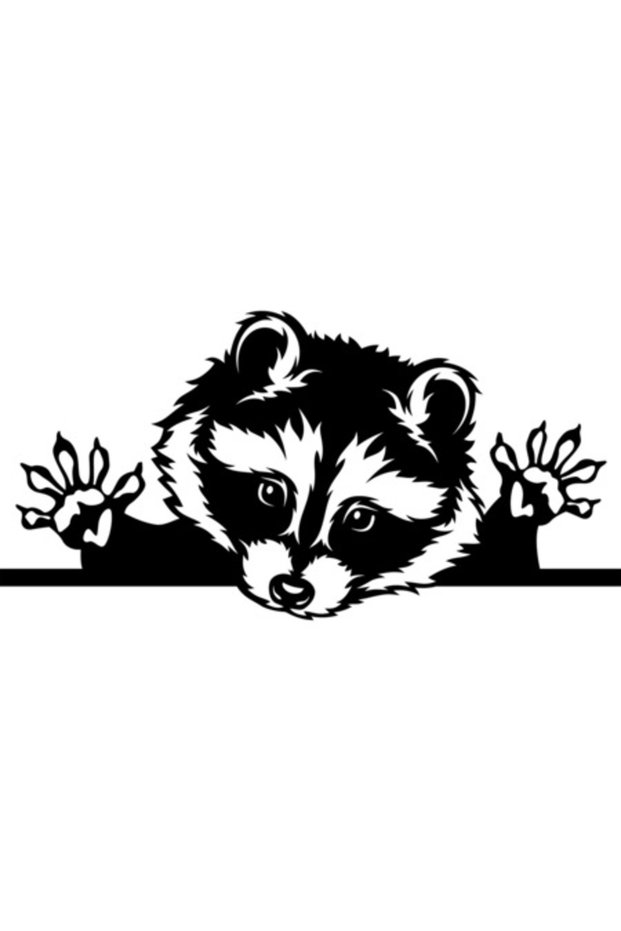 Car Sticker, Racon, 30 cm