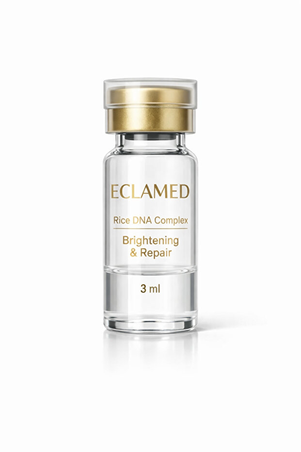 Rice DNA Complex - 2