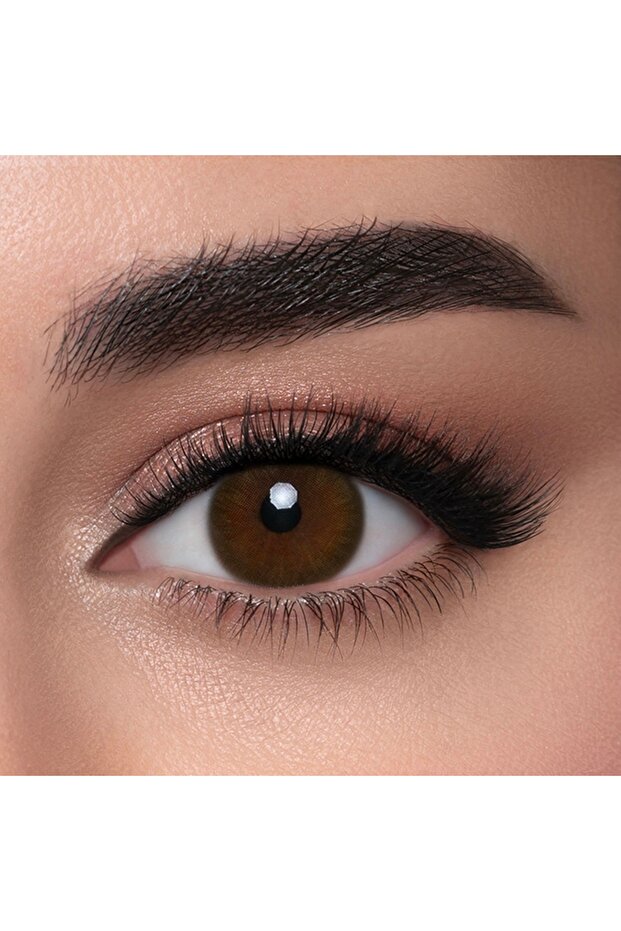 La Bella 6 Months Disposable Contact Lenses, Colored Contact Lenses, Brown Contact Lenses