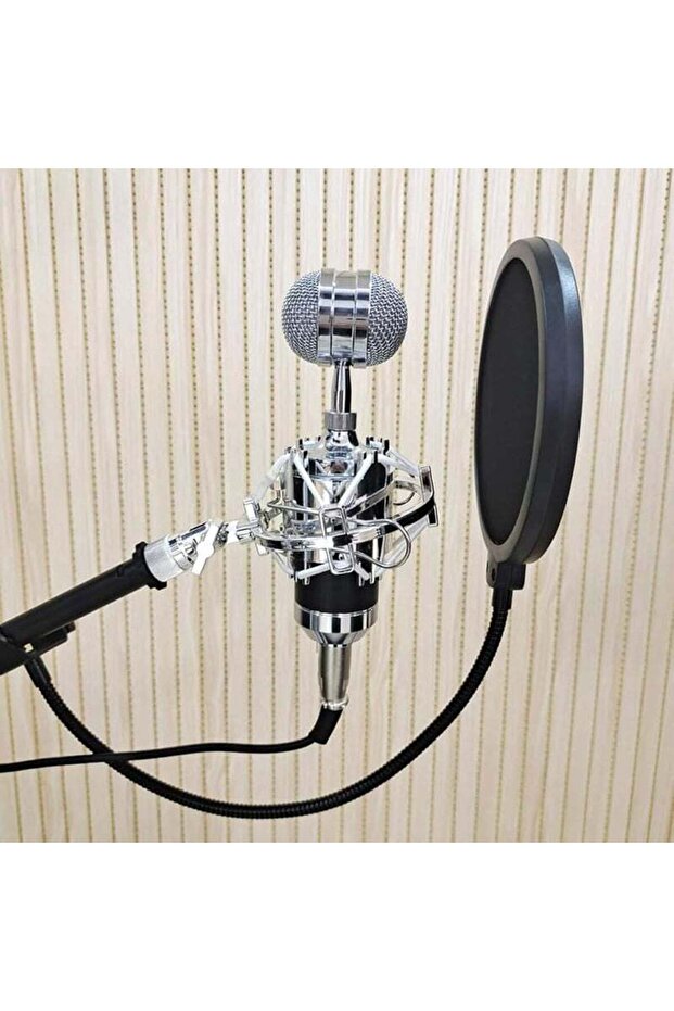 Double Layer Microphone Pop Filter Windscreen With Flexible Gooseneck Support - 2