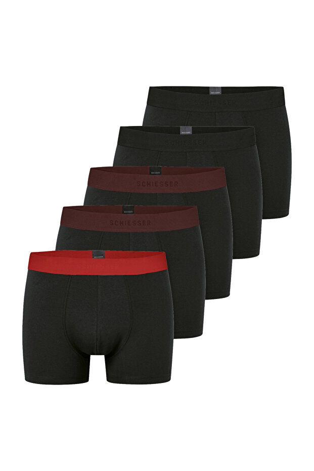 Trunk 955 - 4
