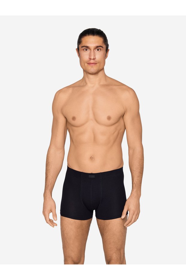 Boxer Everyday