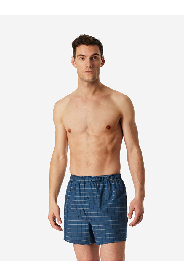Boxer Web - 1