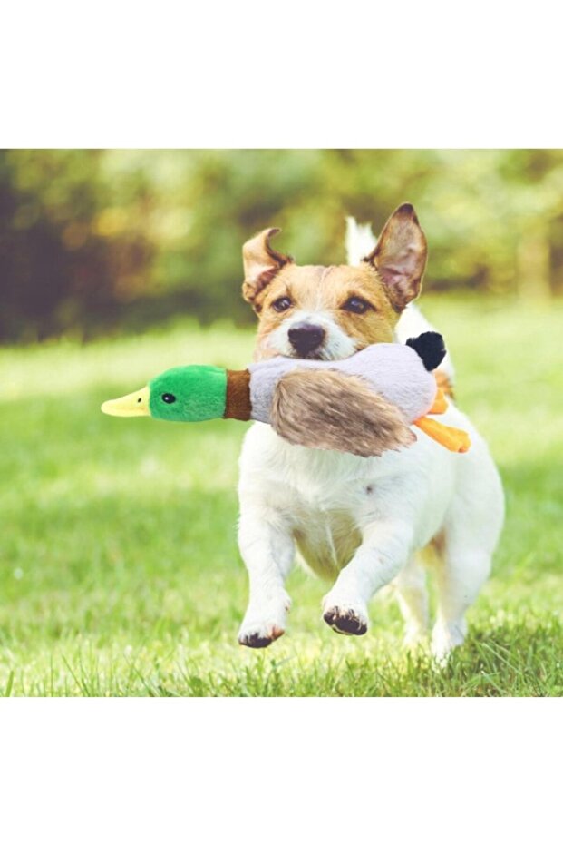 Plush Dog Toy with Sound Duck Shape