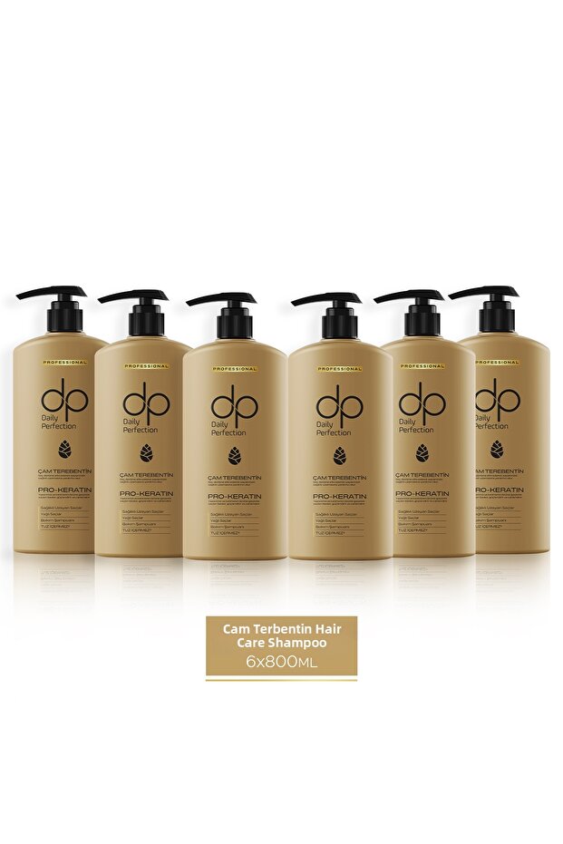 Daily Perfection Shampoo Pine Turpentine 800 ml X 6 Pieces