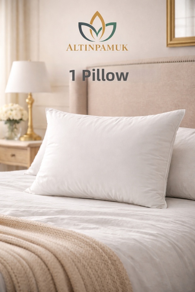 Bead Silicone Pillow 1 Piece 50x70 1kg Cotton Akfil Fabric 1st Class