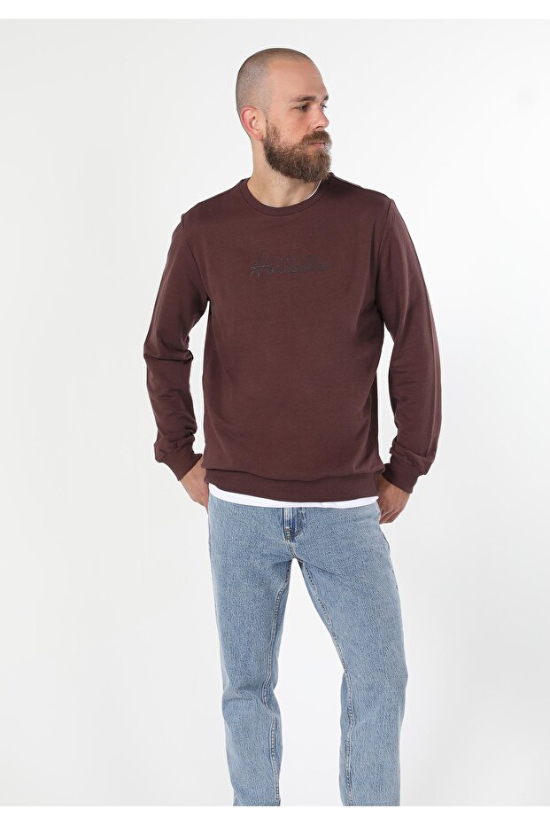 Regular Fit Erkek Mor Sweatshirt - 3