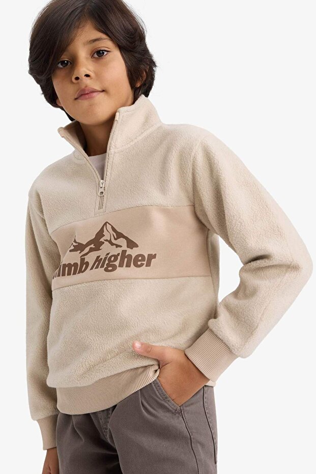 Half Zipper Printed Fleece Sweatshirt for Boys G4944A825Au