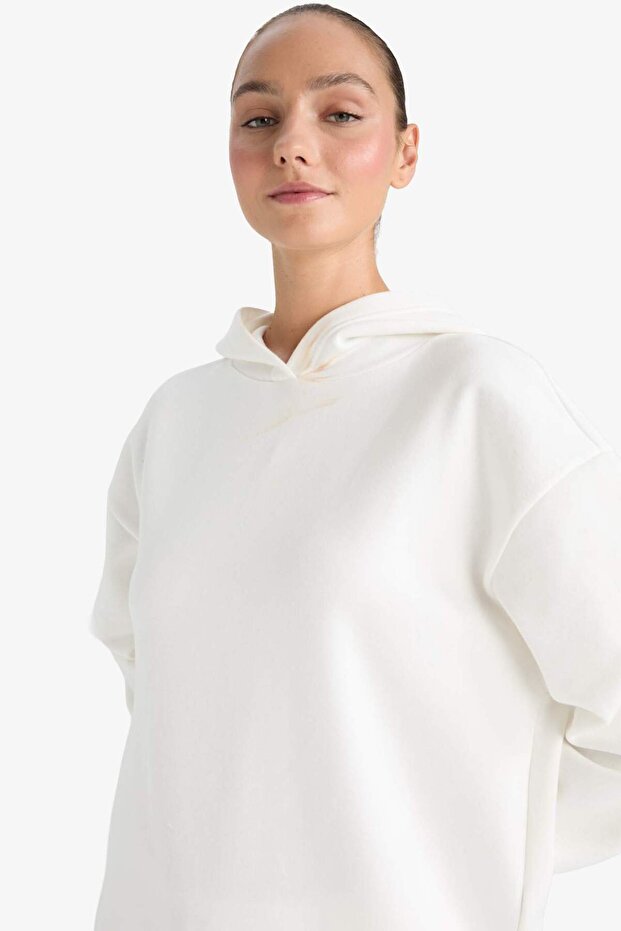 Relax Fit Kapüşonlu Basıc Kalın Sweatshirt D9935AX25WN - 4