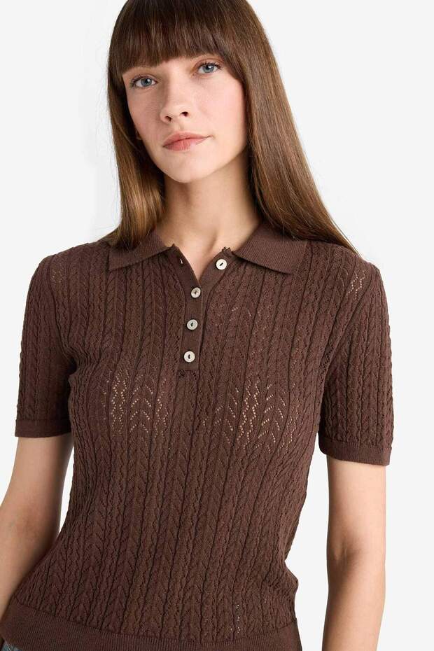 Regular Fit Polo Neck Buttoned Short Sleeve Knitwear Sweater F7774Ax25Au