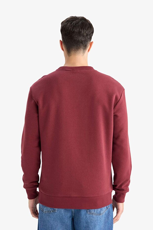Regular Fit Bisiklet Yaka Basic Düz Kalın Sweatshirt T3777AZ25AU - 6