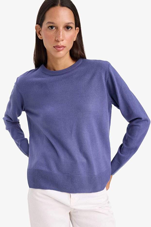 Regular Fit Pullover mit weicher Textur und Rundhalsausschnitt, Basic-Strickpullover C0058AX25WN - 3