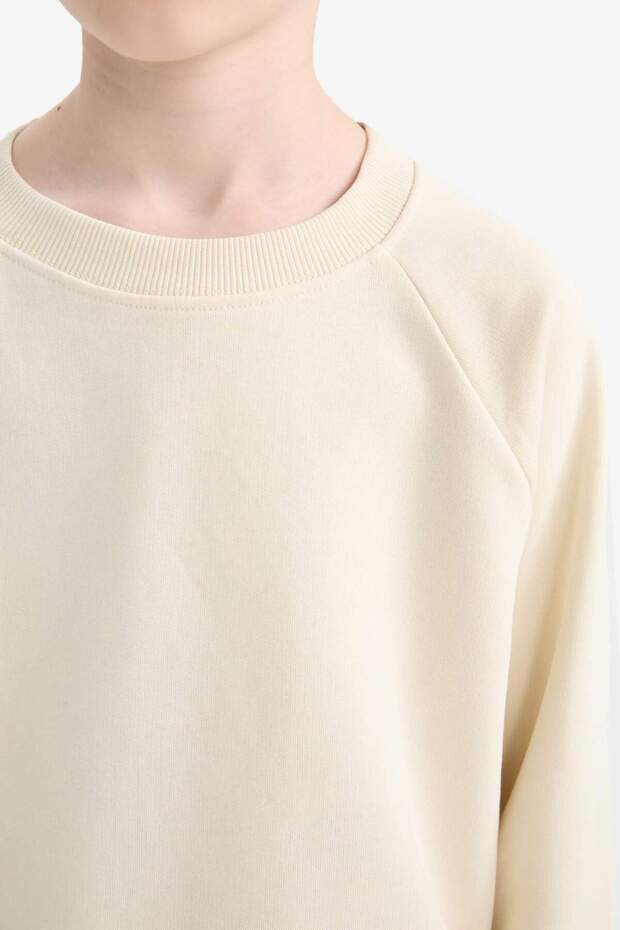 سويت شيرت مدرسي سادة بياقة دائرية للأولاد E8415A825AU - 5