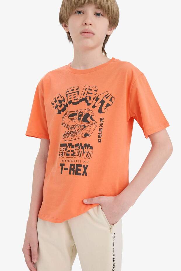 100% Cotton Crew Neck Printed Short Sleeve T-Shirt for Boys F0180A825Sm