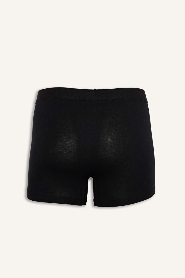 Boxer Regular Fit 5 piese E7204AX25SM - 3