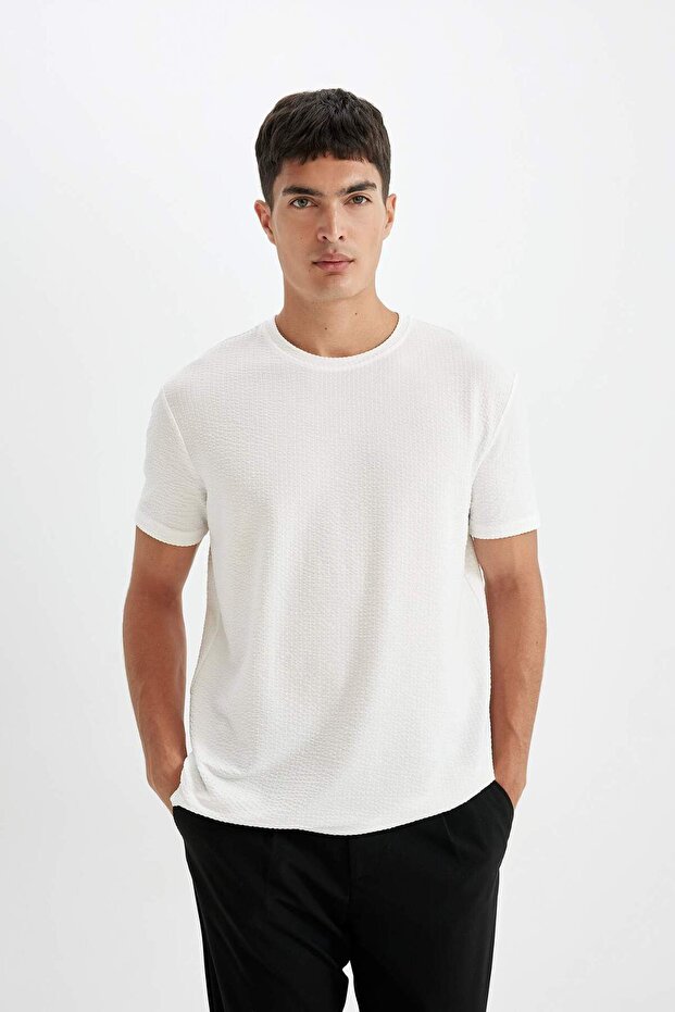 Regular Fit Crew Neck Short Sleeve White Crinkle T-Shirt D6477Ax24Hs
