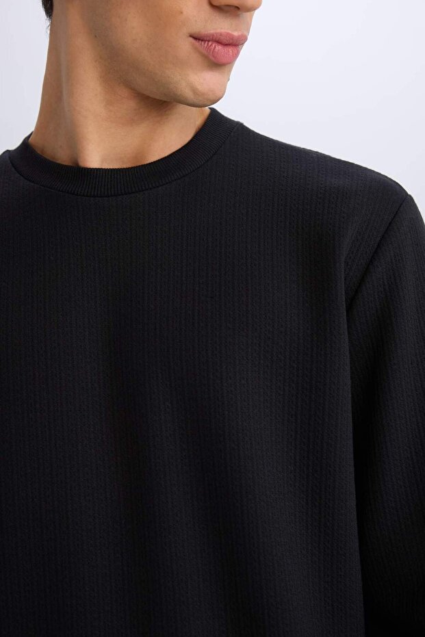 Regular Fit Crew Neck Basic Plain Sweatshirt D7231Ax25Sp - 6