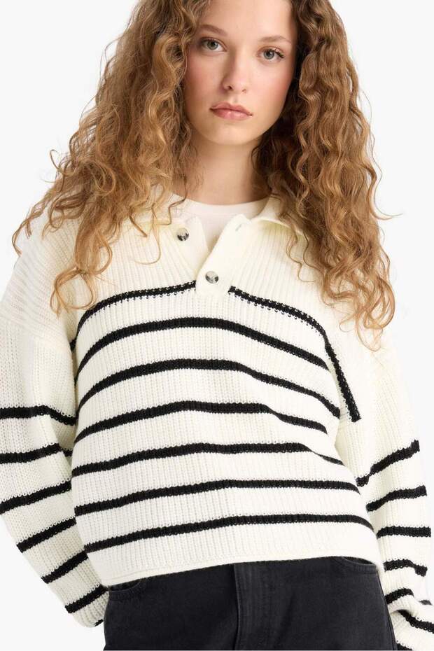 Collared Half-Button Striped Knit Sweater - 1