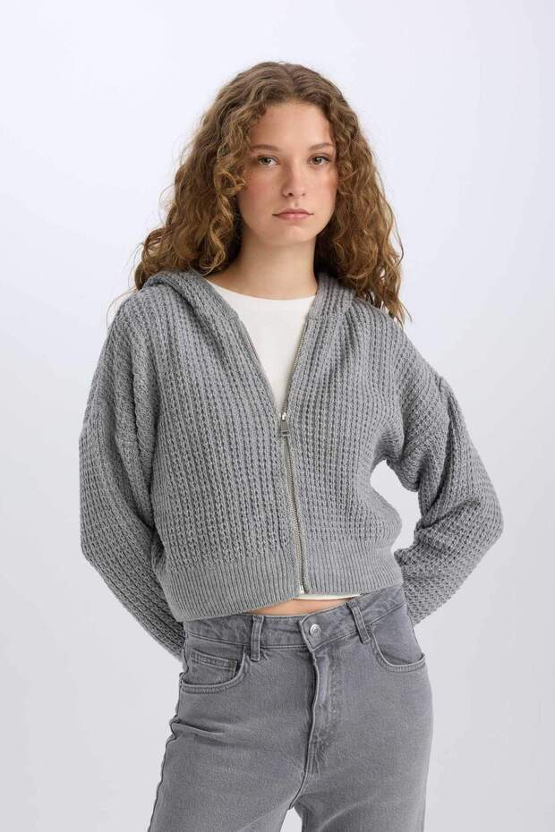 Regular Fit Hooded Zippered Knitwear Cardigan E2269Axns